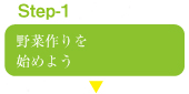 野菜作りを始めよう