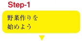 野菜作りを始めよう