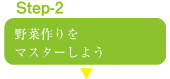 野菜作りをマスターしよう