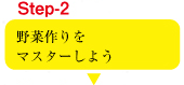 野菜作りをマスターしよう