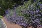 DSC04364.JPG